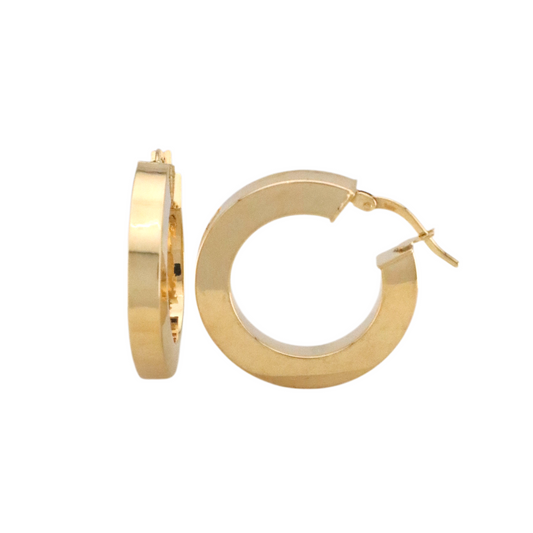 Plain Hoops Earrings