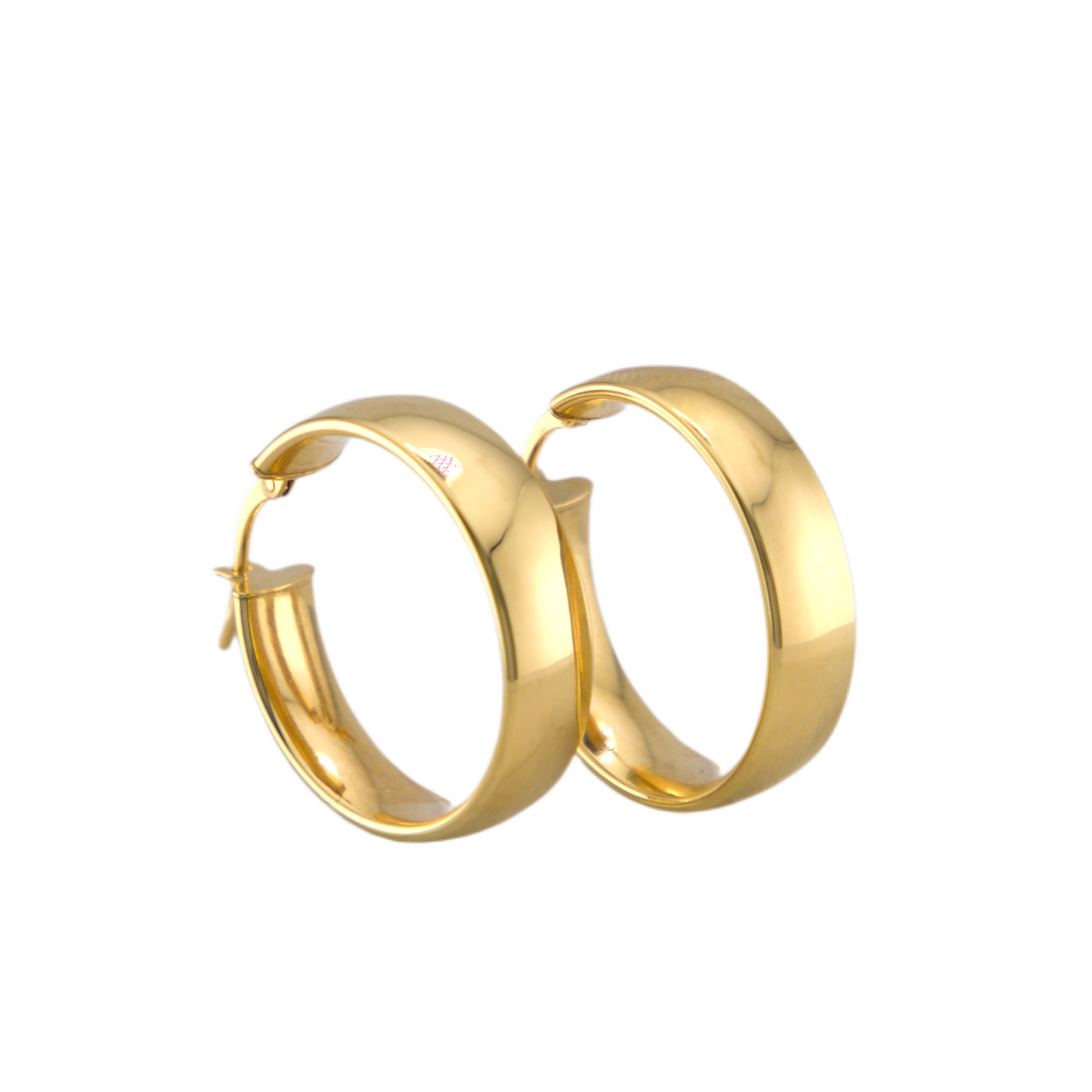 Fancy Hoops Earrings