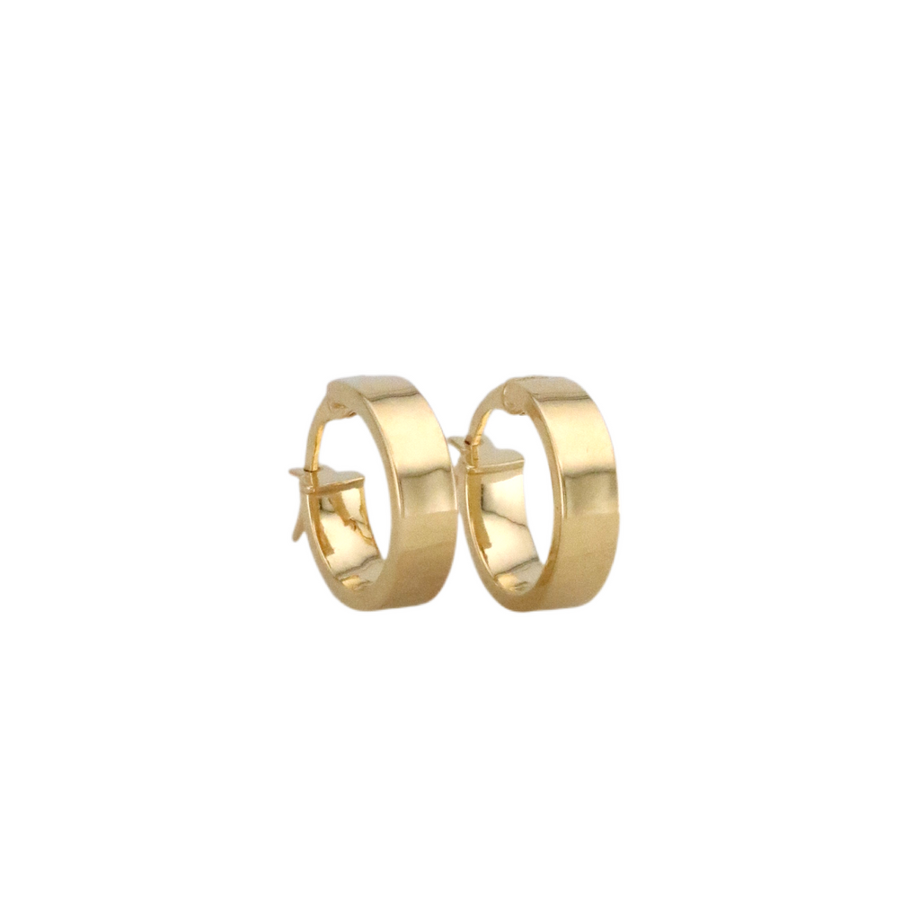 Plain Hoops Earrings