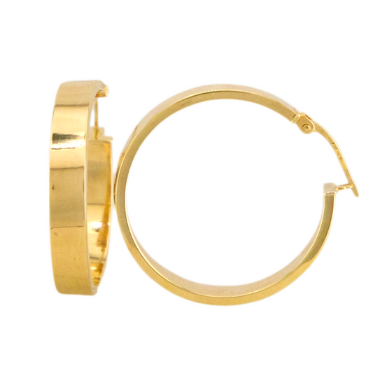 Plain Hoops Earrings