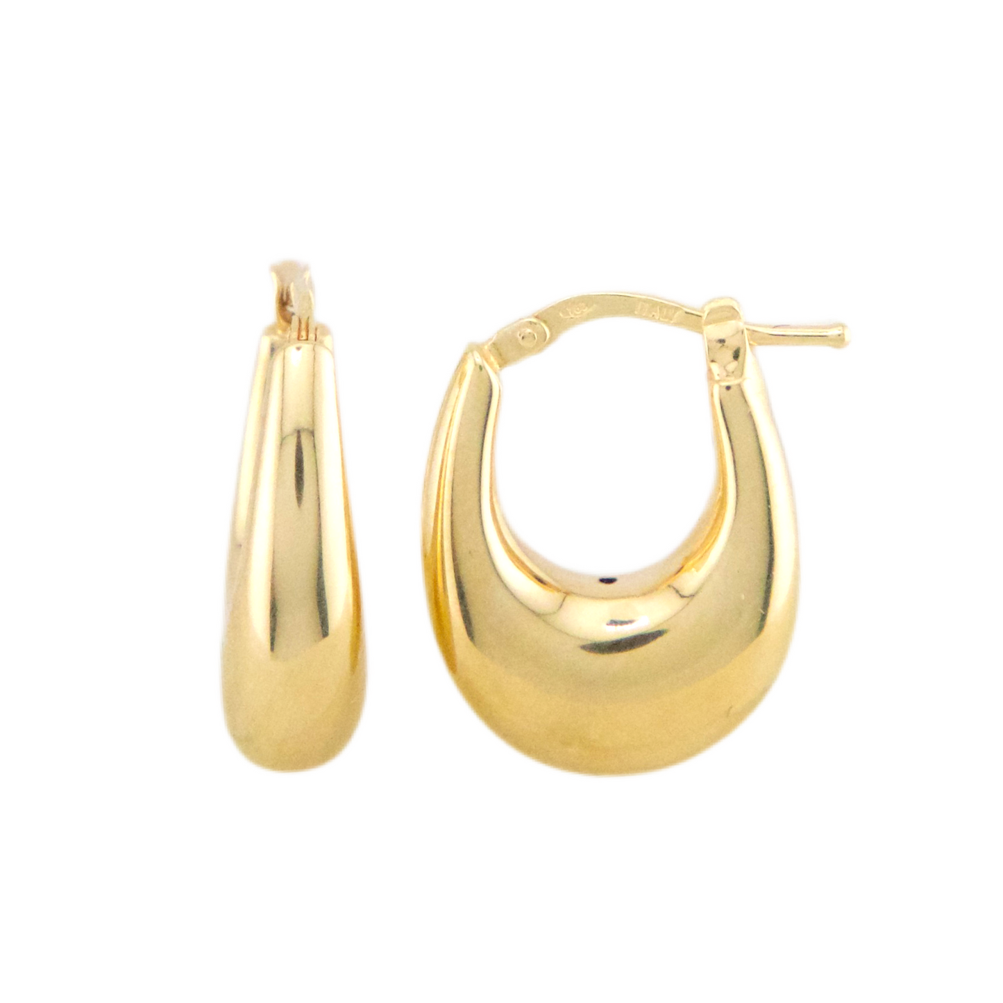 Fancy Hoops Earrings