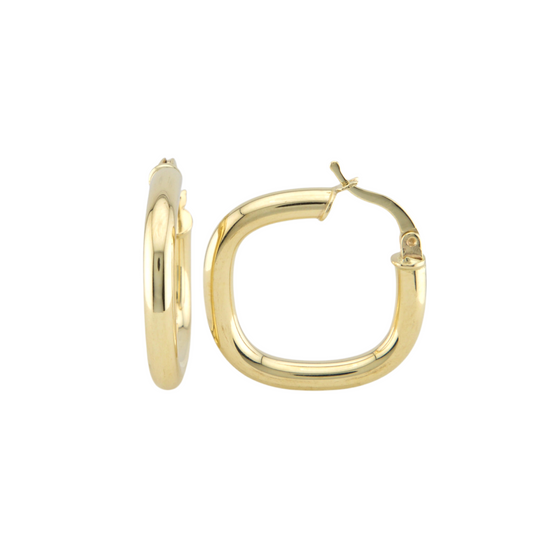 Fancy Hoops Earrings
