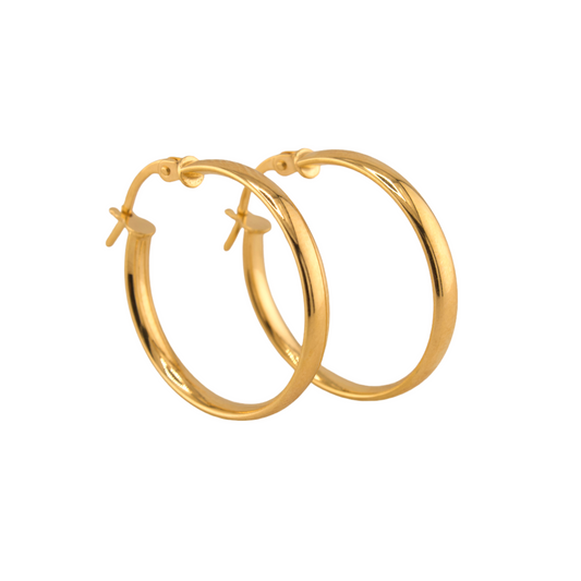 Plain Hoops Earrings